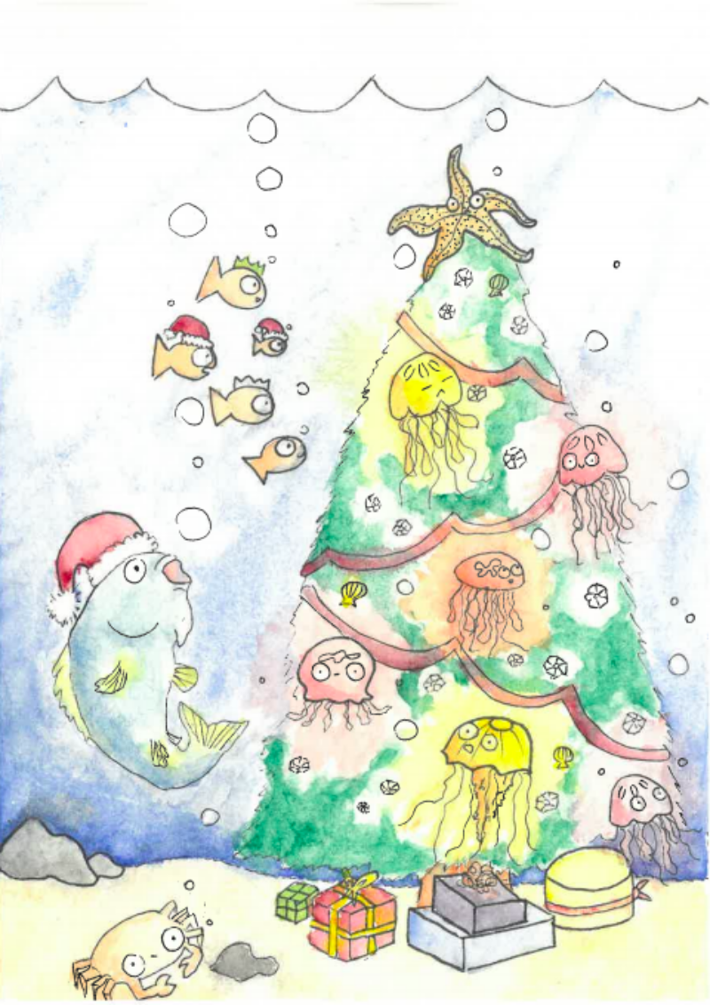 By Mia - a year 9 student at Tapton Secondary School.