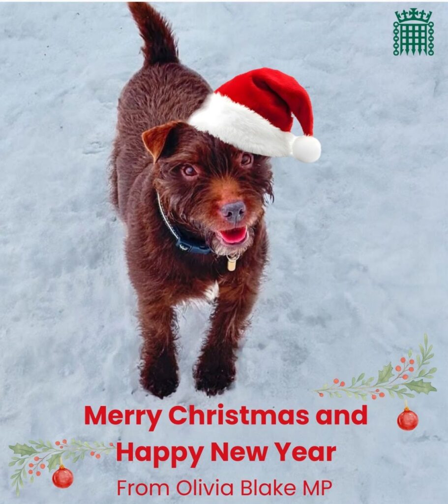 Brown dog, Arthur, in a Christmas hat jumping in the snow. There is a green House of Commons logo on the top right hand corner. The text reads 'Merry Christmas and Happy New Year From Olivia Blake MP' in a red font.